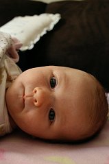 IMG_4265
