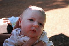 IMG_4338