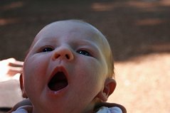IMG_4342