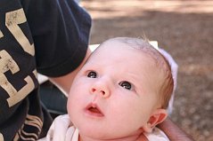 IMG_4375