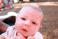 IMG_4379