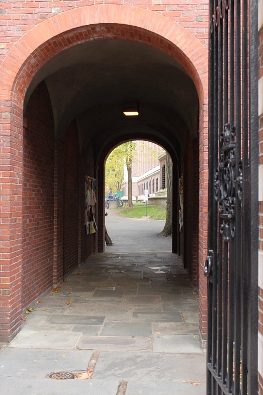 IMG_3603.jpg - A walkway into Harvard