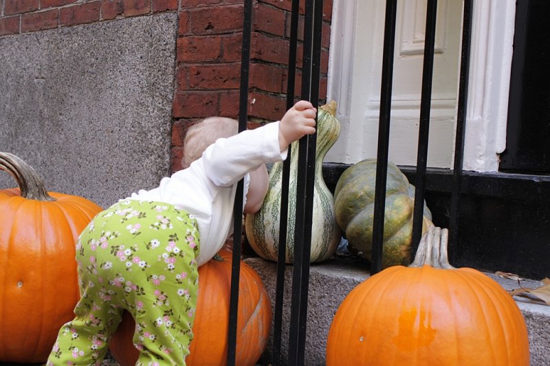 IMG_3645.jpg - Camille decided she needed to smell the squash sitting on the doorstep