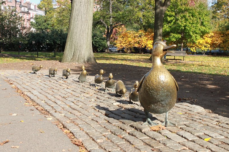 IMG_3690.jpg - Make Way for the Ducklings-Robert McCloskey.  First published in 1941, the book tells the story of a pair of mallard ducks who decide to raise their family on an island in the lagoon in Boston Public Garden.