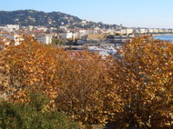 Cannes from Monks castle