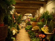 Flower store in Cannes