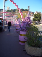 Cannes Pink Christams Trees
