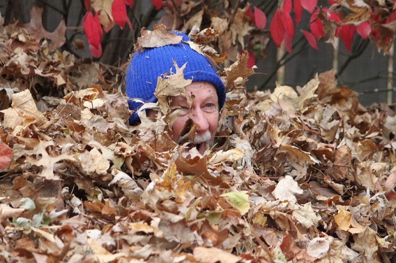 IMG_2164.JPG - Grandpapa in the leaf pile!